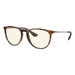 Ray-Ban Erika Glasses